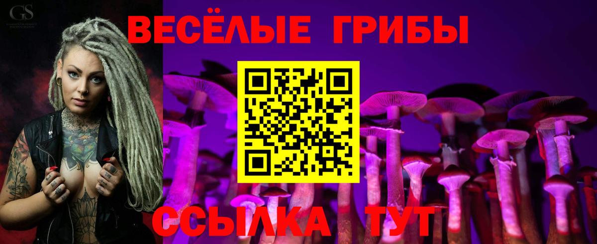 Галлюциногенные грибы MAGIC MUSHROOMS Благовещенск